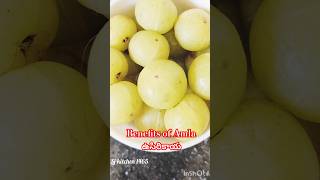 Benefits of Amla drmanthenaofficial amla benefitshealthyhealthtipsshorts trending [upl. by Pisarik]