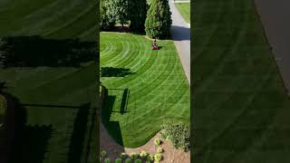 Tall Fescue Single Double Crop Circles lawnstripes gciturf [upl. by Eniamrej]