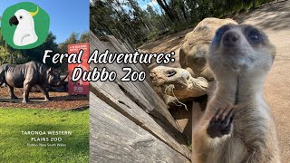 Dubbo Zoo  Feral Adventures [upl. by Nilra461]