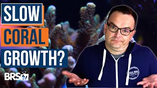 Can’t Raise Reef Tank Alkalinity Answers to This and MORE EP 41d [upl. by Anniram732]