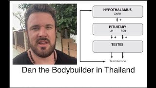 HPTA Axis Explained  WHY PCT WORKS AFTER A STEROID CYCLE  BODYBUILDING SCIENCE [upl. by Ronyam]