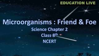 Microorganisms – Friend amp Foe Science Chapter Class 8th NCERT CBSE syllabus [upl. by Mell]