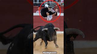 4 saltos mortales cónecutivos 😱 shorts toros bullfight2024 [upl. by Abbotson]