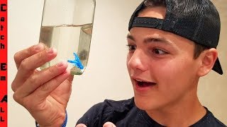 PAUL CUFFARO Secret NEW MICROSCOPIC PET Fish Gift and HOUSE TOUR [upl. by Anomer]