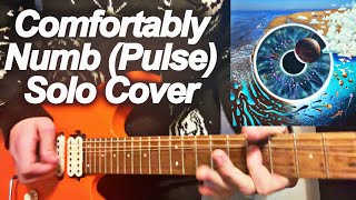 Comfortably Numb  Pink Floyd Pulse Solo Cover [upl. by Eidnam]