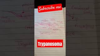 Trypanosoma trypanosomabrucei🫘 ternding videoviralvideo and short📝 नोट by Rajendra Yadav [upl. by Hannover]