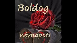 Névnapi köszöntő Panna napra Happy name day  Boldog névnapot [upl. by Swanhilda905]