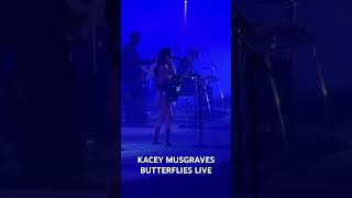 Kacey Musgraves plays “Butterflies” on Nov 10 2024 in Pittsburgh [upl. by Adnaral]