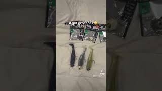 NLBN🔥🔥 florida fish shortvideo bassfishing fyp [upl. by Aleece]