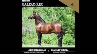 01 Galeão RRC [upl. by Goodwin]