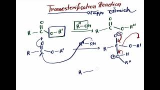 Transesterification reaction MrPappu Bhowmick [upl. by Charlie981]