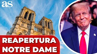 TRUMP asistirá el sábado a la REAPERTURA de la catedral de NOTRE DAME [upl. by Sadoc217]