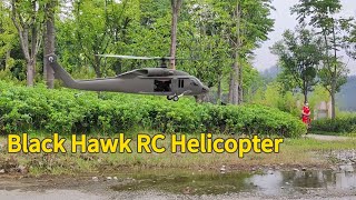 Flying the Black Hawk Realistic Remote Control Plane – Epic Performance rcplane scale [upl. by Yrogreg]