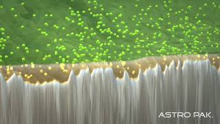 Astro Pak  Microscopic View of Electropolishing  Narrated [upl. by Nema292]