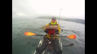 Pollock and coalfish trolling from a kayak [upl. by Senn479]