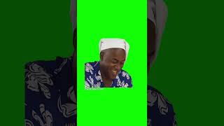 Hehe Boi meme Green Screen shorts memes [upl. by Durrell]