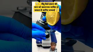 🍋Lemon under the microscope 🔬 microscope knowledge amazingfacts lemon microbiology ytshorts [upl. by Airod75]