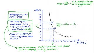 Introduction to Indifference Curves including MRS Why they dont cross  Shape [upl. by Trista]