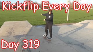 Kickflip Every Day  Day 319 [upl. by Eycats657]