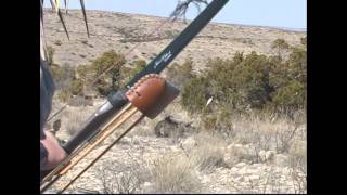 Longfellow Javelina Hunt HD [upl. by Strauss159]