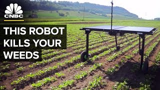 AI Helps This Robot Reduce Herbicide Use [upl. by Lenwood]