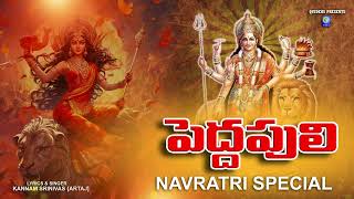 Pedda Puli Song  Durgamma Talli  పెద్దపులి ఎక్కి రావమ్మో దుర్గమ్మ  Navratri Special Song Qvideos [upl. by Euhsoj]