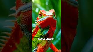 Anole Lizard shorts trending animals wildlife [upl. by Fullerton]