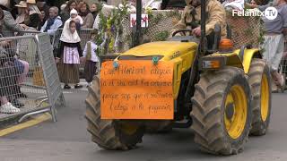 Les beneïdes de Sant Antoni a Felanitx 2024 [upl. by Adkins]