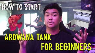 HOW TO START AROWANA TANK  BEGINNERS GUIDE [upl. by Covell]