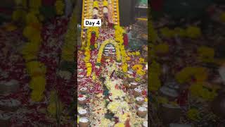 Ayyappa swami Bajana songs Day 4 [upl. by Zinah]