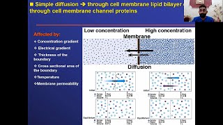 Body Fluid Physiology part 3 [upl. by Wey]