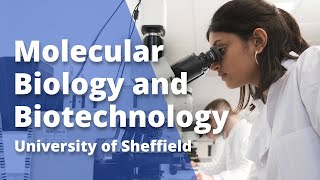 Molecular Biology and Biotechnology  University of Sheffield [upl. by Grizelda139]