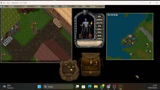 Ultima Online  Ruins amp Riches  download client e installazione  configurazione IP e porta server [upl. by Herwin]