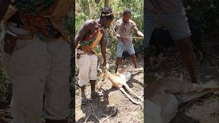 Bushmen at Work africa hadzabetribe wildlife animals shorts [upl. by Kari802]