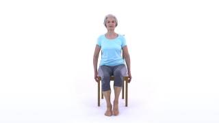 Falls Prevention Knee Lifts [upl. by Yedarb261]