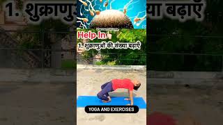 Yoga and Exercises  Sperm Count  Formation Of Egg Fertilization trendingshortsviralmotivation [upl. by Annaira]