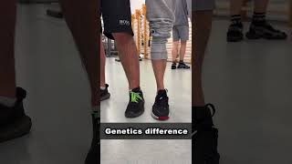 Ectomorph VS Mesomorph Genetics [upl. by Benson748]