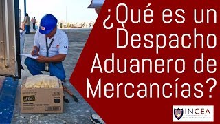 ¿Qué es un Despacho Aduanero de Mercancías [upl. by Bergh]