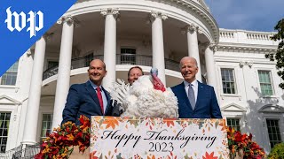 Biden pardons Thanksgiving turkeys [upl. by Kalvn531]