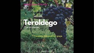 Teroldego [upl. by Kilby557]