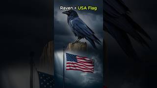 Ravens as a USA Flag Can you Imagine shorts hybrids [upl. by Jobye107]