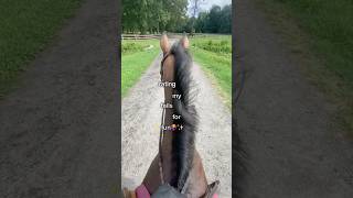 rating my fails for fun🤨 falls fails horse edit funny love shorts [upl. by Tnemelc]