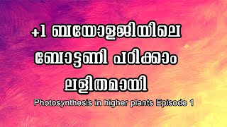 1Botany Class Photosynthesis in higher plants Episode 1 [upl. by Oballa159]