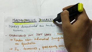 Haemophilus ducreyi  HACEK organisms  Microbiology  Handwritten notes [upl. by Ardnoyek]