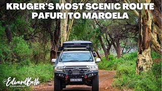 THE BEST OF KRUGER  KRUGERS MOST SCENIC ROUTE  ALL ON DIRT  Episode 2 [upl. by Liban]