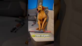 LUOMO CHE VENNE SPARATO DA UN CANE credits ​⁠zackdfilms [upl. by Patience]