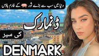 Travel to Denmark By Clock Work  History and documentary about Denmark  Denmark Ki Sair [upl. by Lilybel]