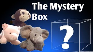 SLL Movie The Mystery Box [upl. by Esilec]