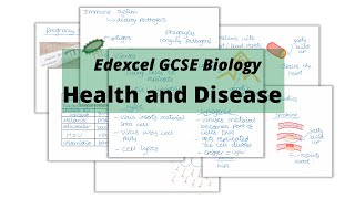 The WHOLE of Edexcel GCSE Biology HEALTH and DISEASE [upl. by Emlen]