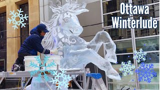 Ottawa Winterlude 2024 IceCarving Public Art Buskerfest amp Family Activities on Sparks St [upl. by Karlin]